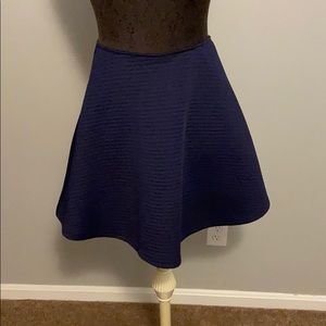 Navy Blue Skirt